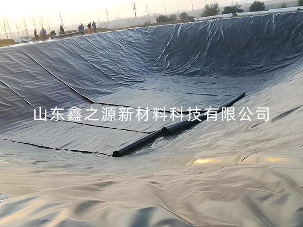 選擇防滲土工膜進(jìn)行小龍蝦養(yǎng)殖有哪些要點(diǎn)技巧？